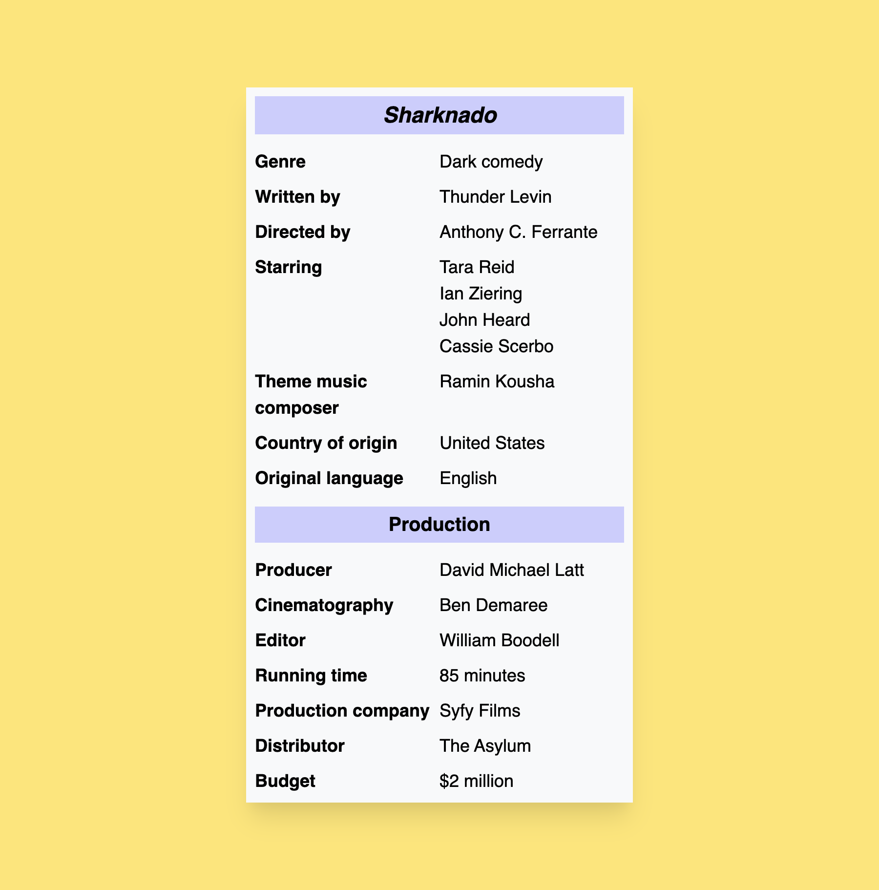 Wikipedia-style infobox for the movie Sharknado. The first description list, titled 'Sharknado,' contains detail's about the movie's genre, writer, director, starring actors, theme music composer, country of origin, and original language. The second list, titled 'Production', list the movie's producer, cinematographer, editor, running time, production company, distributor, and budget.